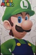 Wall Art - Small - Luigi